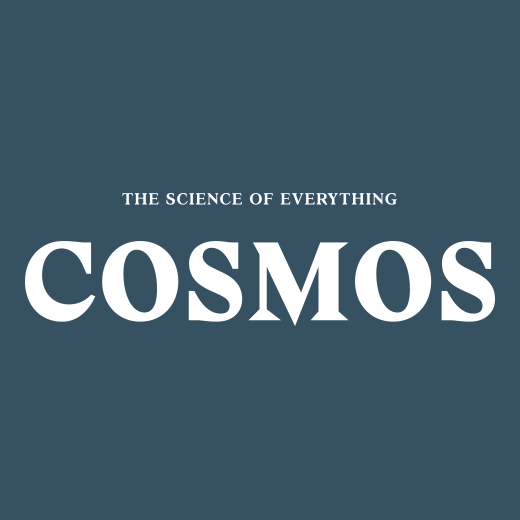 Cosmos: Quantum computing for the qubit curious